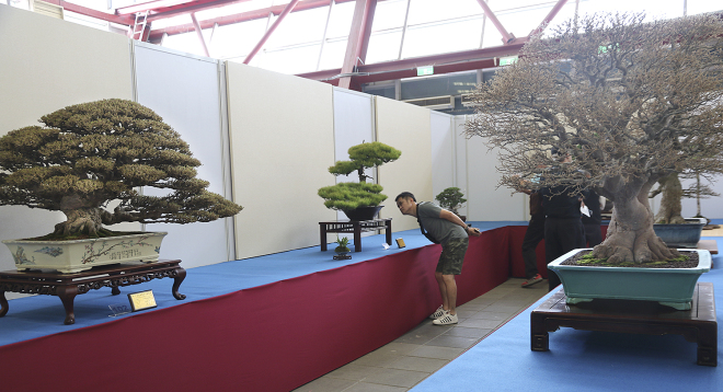 Taiwan display 1