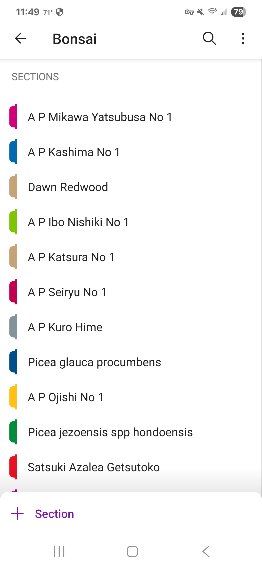 Section Section