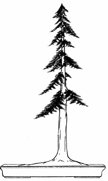 Formal Upright