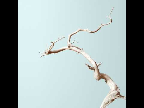 Stephen Voss