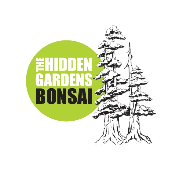 2019 calendar of guest artists